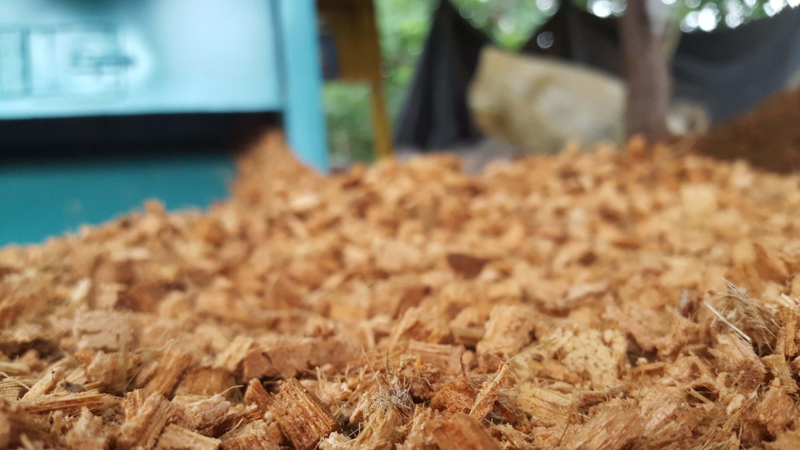 Compressed coco husk chip block with loose husk chips