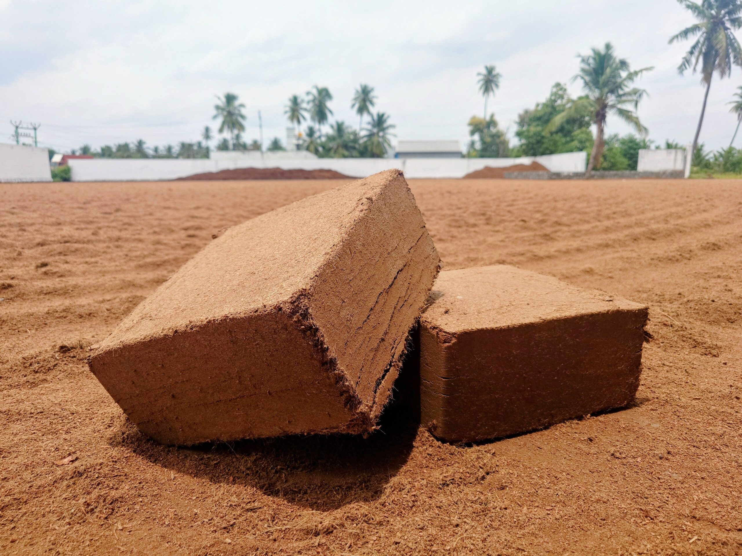 Compressed coco peat blocks and briquettes